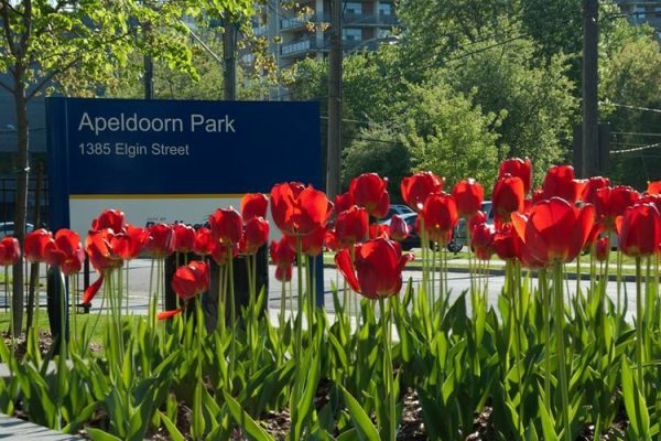 apeldoornpark